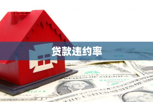 蒸湘贷款违约率