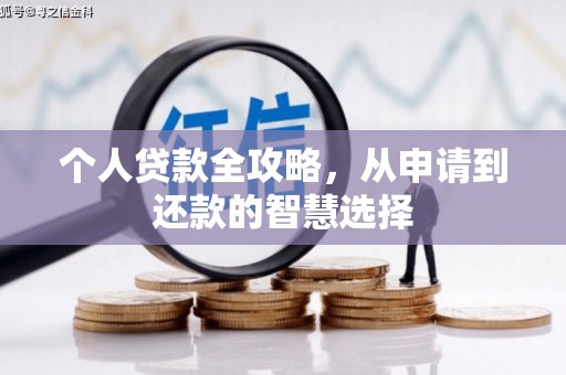 蒸湘个人贷款全攻略，从申请到还款的智慧选择
