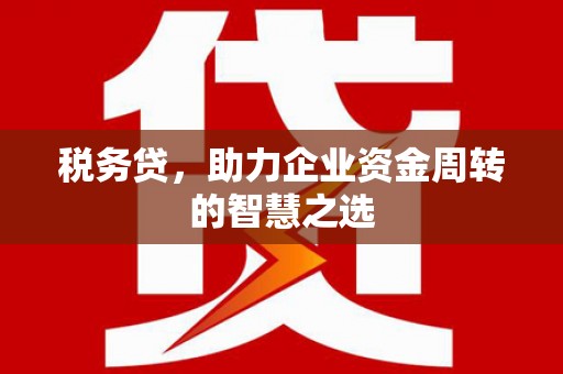 蒸湘税务贷，助力企业资金周转的智慧之选