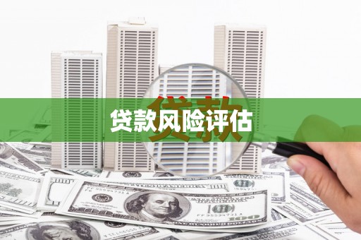 蒸湘贷款风险评估