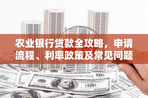 蒸湘农业银行贷款全攻略，申请流程、利率政策及常见问题解析