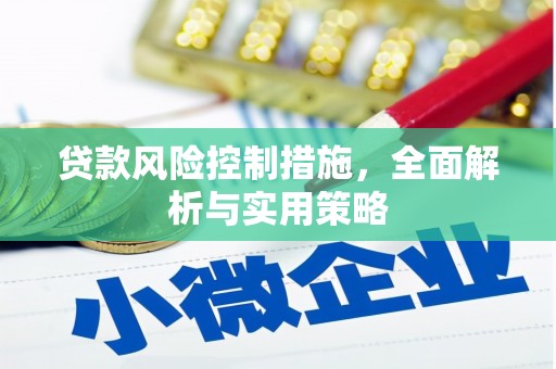蒸湘贷款风险控制措施，全面解析与实用策略