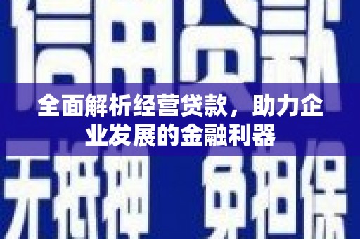 蒸湘全面解析经营贷款，助力企业发展的金融利器