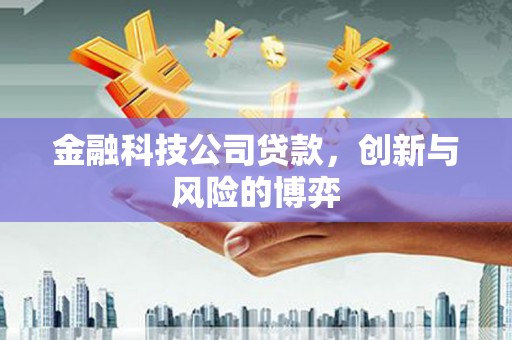 蒸湘金融科技公司贷款，创新与风险的博弈