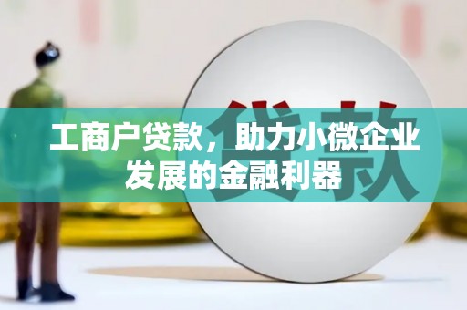 蒸湘工商户贷款，助力小微企业发展的金融利器