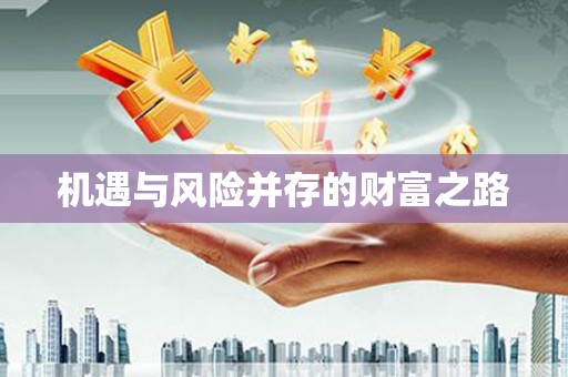 蒸湘机遇与风险并存的财富之路