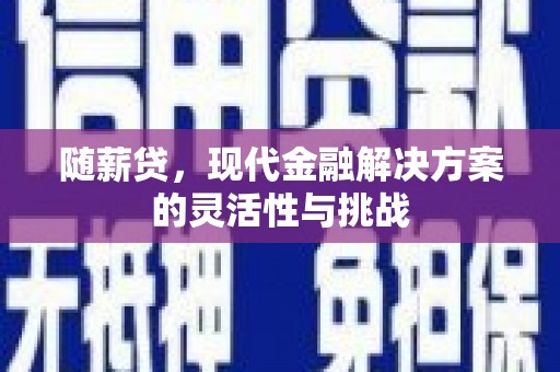 蒸湘随薪贷，现代金融解决方案的灵活性与挑战