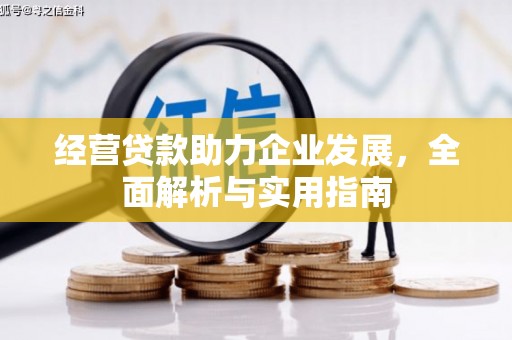 蒸湘经营贷款助力企业发展，全面解析与实用指南