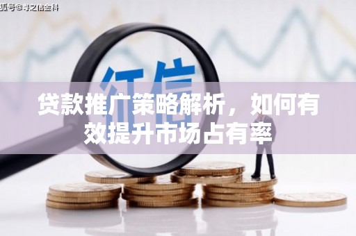 蒸湘贷款推广策略解析，如何有效提升市场占有率