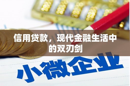 蒸湘信用贷款，现代金融生活中的双刃剑