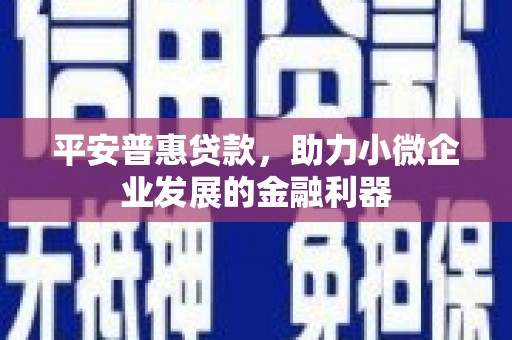蒸湘平安普惠贷款，助力小微企业发展的金融利器