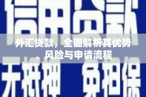蒸湘外汇贷款，全面解析其优势、风险与申请流程