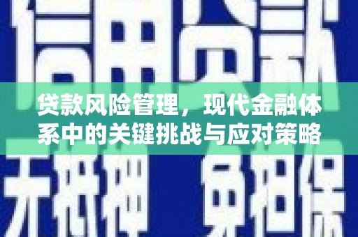 蒸湘贷款风险管理，现代金融体系中的关键挑战与应对策略