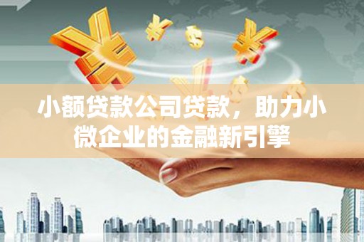 蒸湘小额贷款公司贷款，助力小微企业的金融新引擎