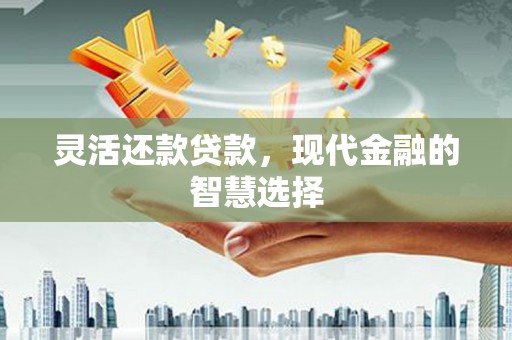 蒸湘灵活还款贷款，现代金融的智慧选择