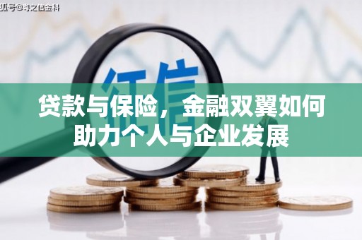 蒸湘贷款与保险，金融双翼如何助力个人与企业发展