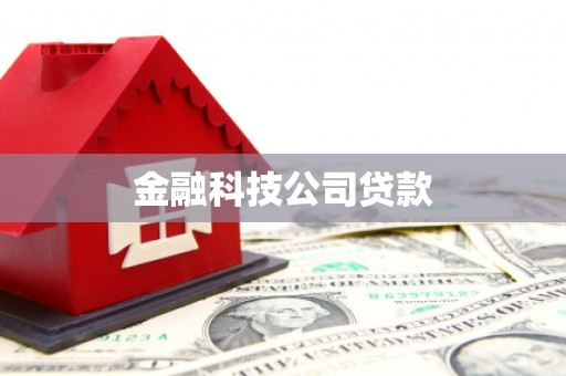 蒸湘金融科技公司贷款