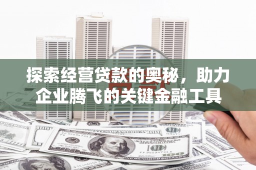 蒸湘探索经营贷款的奥秘，助力企业腾飞的关键金融工具