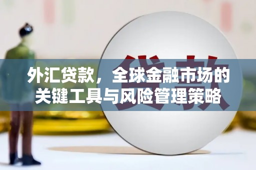 蒸湘外汇贷款，全球金融市场的关键工具与风险管理策略