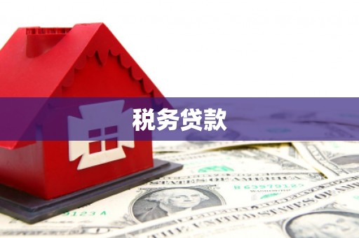蒸湘税务贷款
