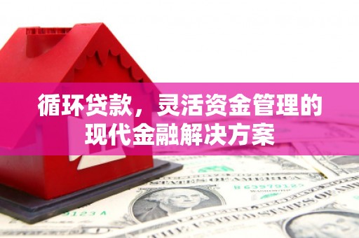蒸湘循环贷款，灵活资金管理的现代金融解决方案
