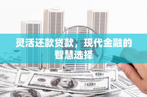 蒸湘灵活还款贷款，现代金融的智慧选择