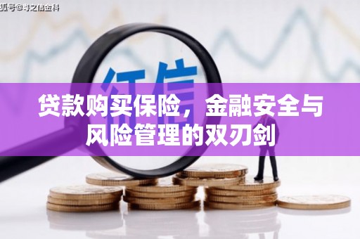 蒸湘贷款购买保险，金融安全与风险管理的双刃剑