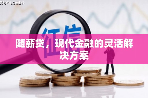 蒸湘随薪贷，现代金融的灵活解决方案