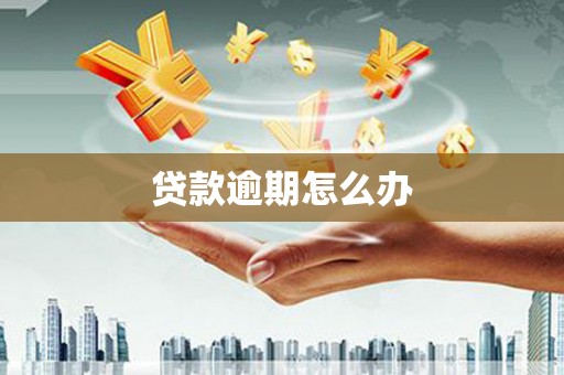 蒸湘贷款逾期怎么办