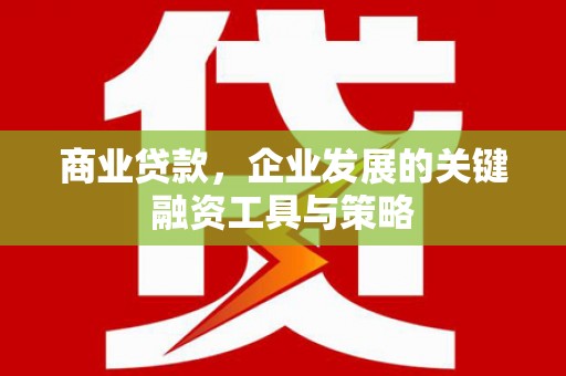 蒸湘商业贷款，企业发展的关键融资工具与策略