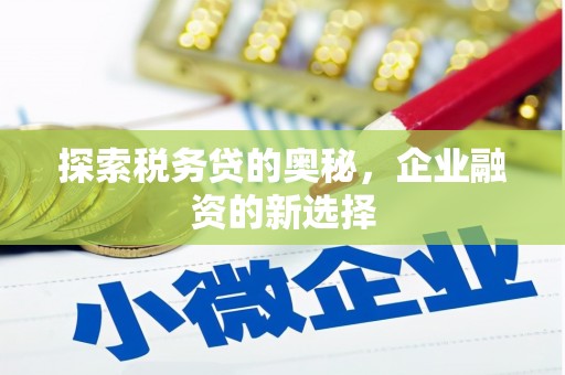 蒸湘探索税务贷的奥秘，企业融资的新选择