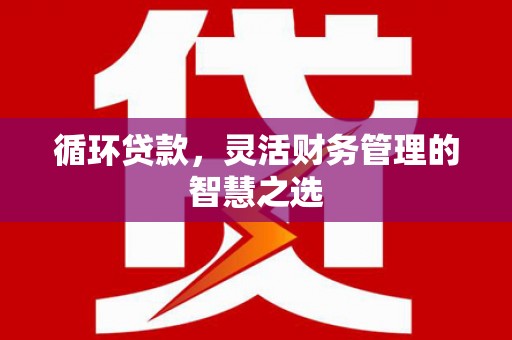 蒸湘循环贷款，灵活财务管理的智慧之选