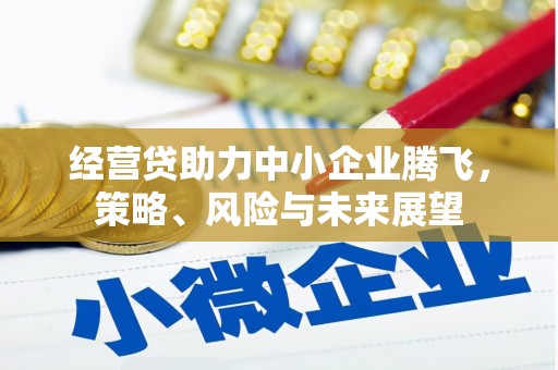 蒸湘经营贷助力中小企业腾飞，策略、风险与未来展望