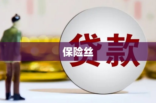蒸湘保险丝