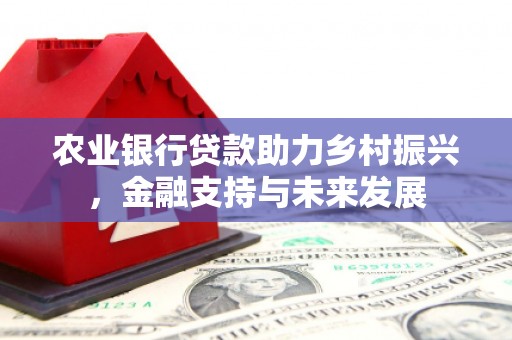 蒸湘农业银行贷款助力乡村振兴，金融支持与未来发展