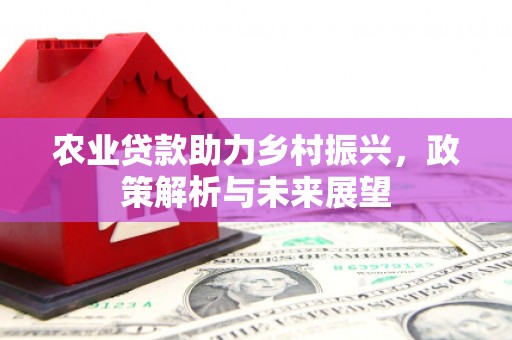 蒸湘农业贷款助力乡村振兴，政策解析与未来展望