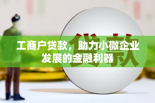 蒸湘工商户贷款，助力小微企业发展的金融利器