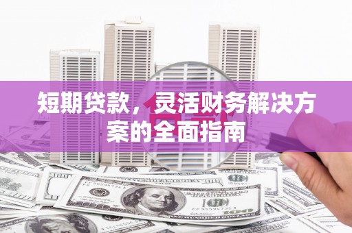 蒸湘短期贷款，灵活财务解决方案的全面指南