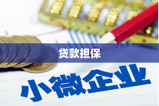 蒸湘贷款担保
