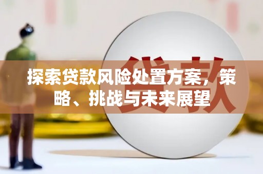 蒸湘探索贷款风险处置方案，策略、挑战与未来展望