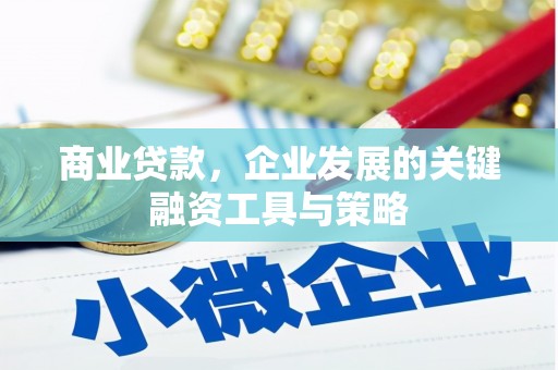蒸湘商业贷款，企业发展的关键融资工具与策略