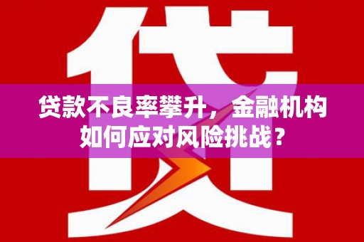 蒸湘贷款不良率攀升，金融机构如何应对风险挑战？