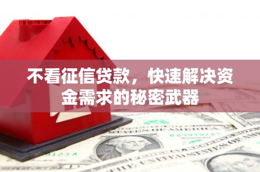 蒸湘不看征信贷款，快速解决资金需求的秘密武器