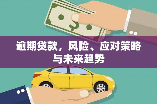 蒸湘逾期贷款，风险、应对策略与未来趋势