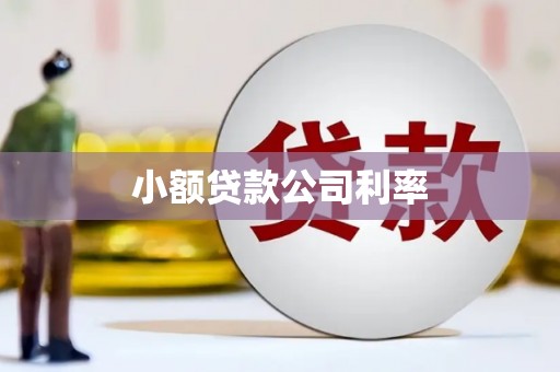 蒸湘小额贷款公司利率