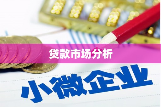 蒸湘贷款市场分析