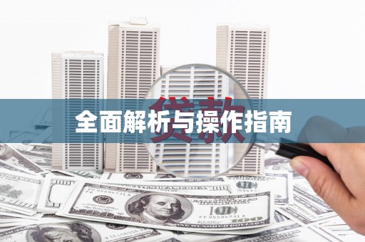 蒸湘全面解析与操作指南