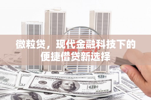 蒸湘微粒贷，现代金融科技下的便捷借贷新选择