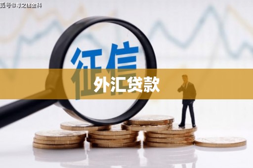 蒸湘外汇贷款
