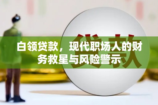 蒸湘白领贷款，现代职场人的财务救星与风险警示
